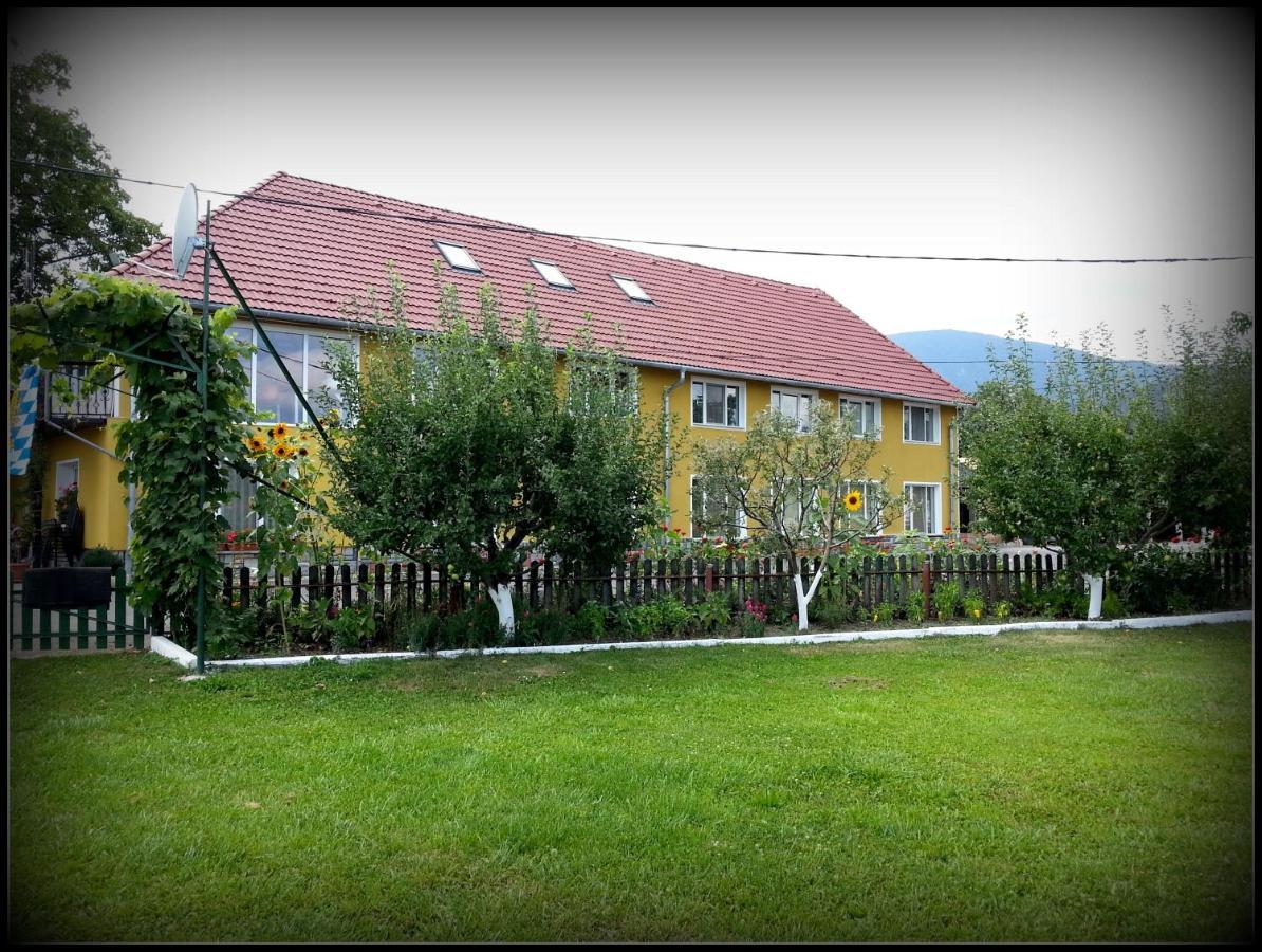 Cazare La Troita Hotel Codlea Exterior photo