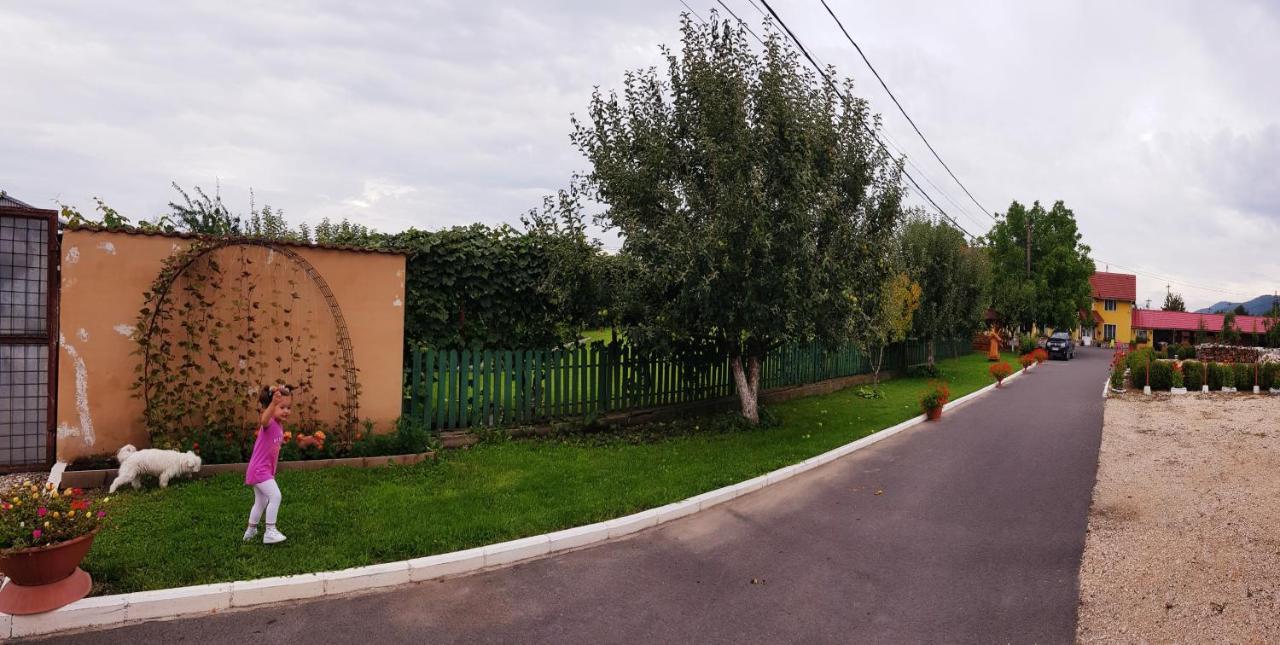 Cazare La Troita Hotel Codlea Exterior photo